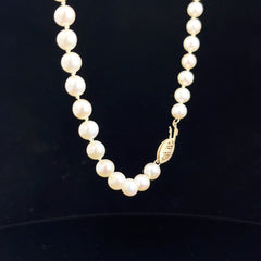14k Yellow Gold 5.5mm Japanese Pearl Necklace 20"inch