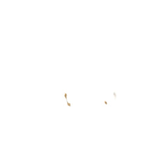 14k Yellow Gold Polished Hinged Hoop Earrings