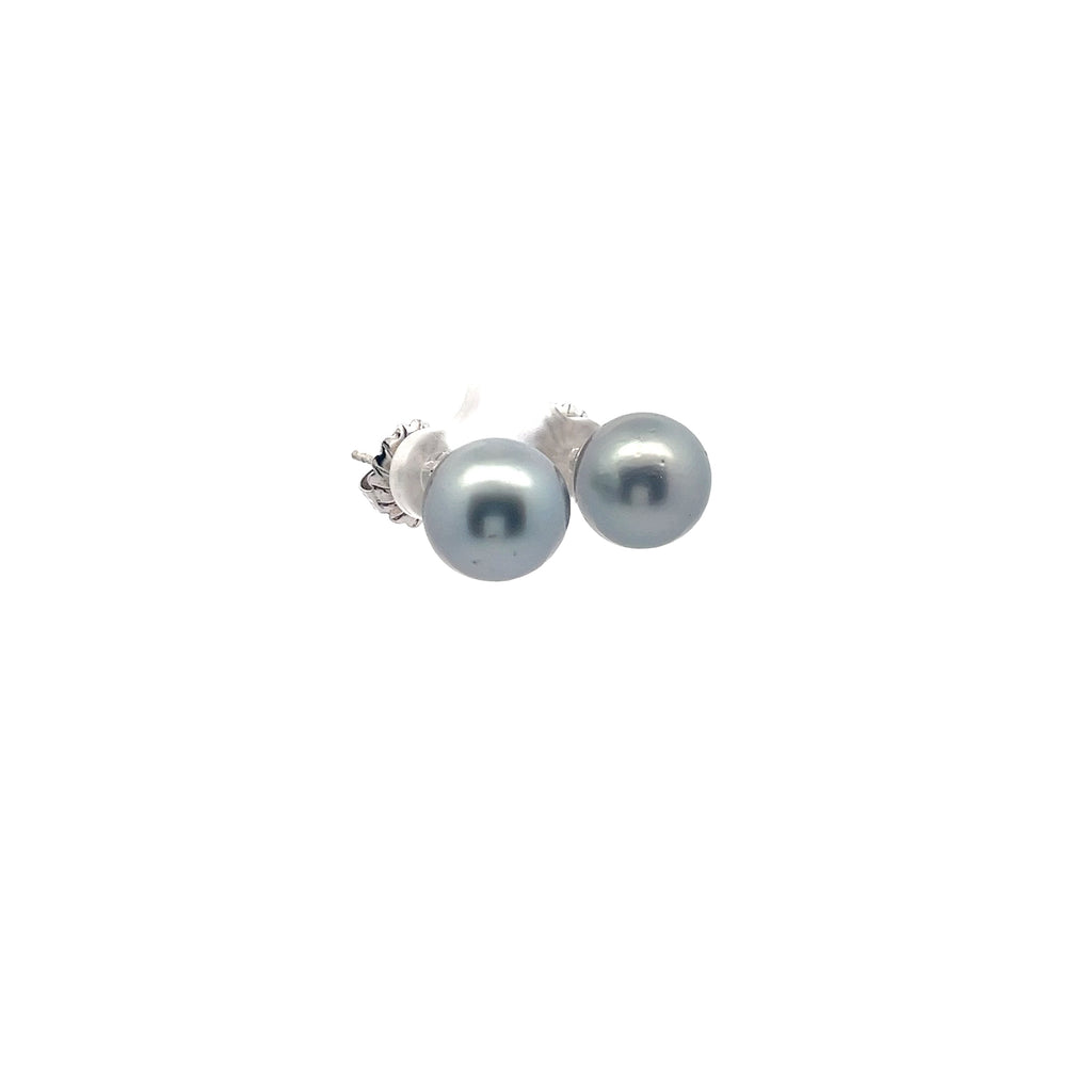 14k White Gold Tahitian Pearl 12.5mm Stud Earrings