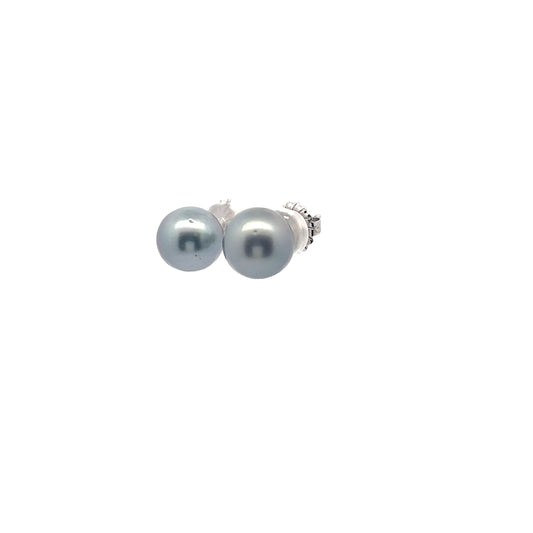 14k White Gold Tahitian Pearl 12.5mm Stud Earrings