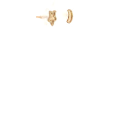14k Yellow Gold Moon and Star Stud Baby Earrings
