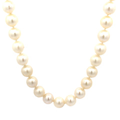 14k Yellow Gold Salt Water 9mm Pearls 25" Length