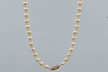 Load image into Gallery viewer, Ladies 14k yellow gold Akoya Pearl Necklace