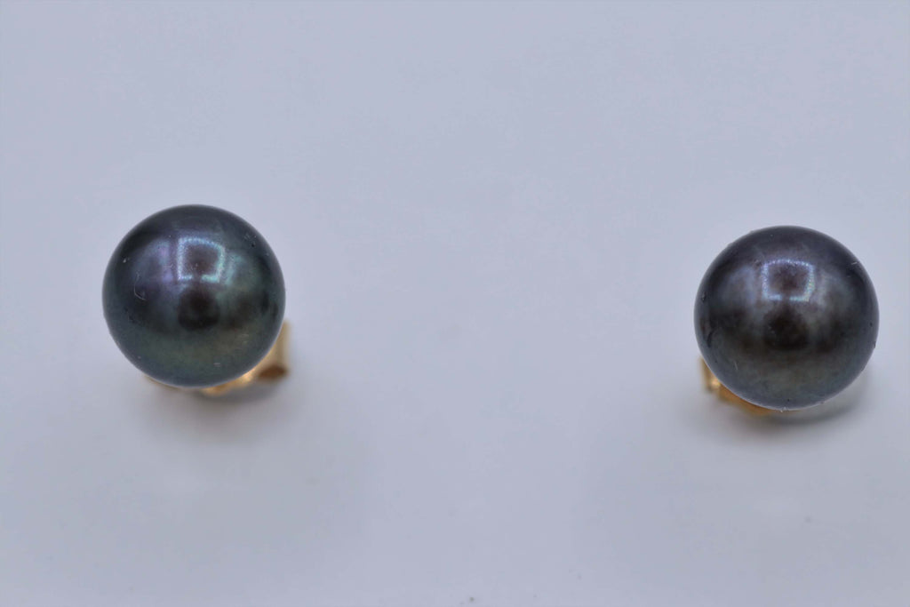 Ladies 14k yellow gold Tahitian Pearl stud earrings
