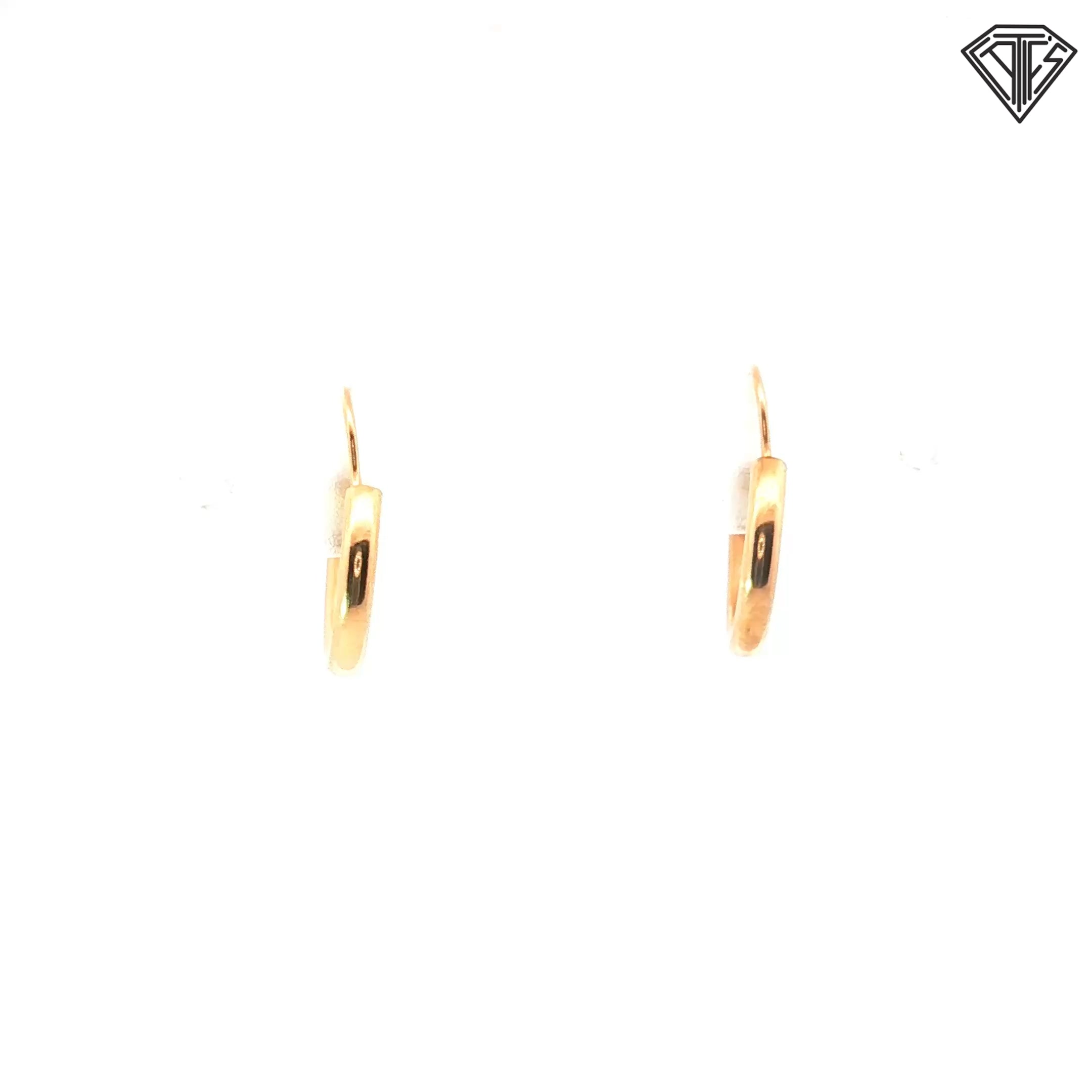 14k Yellow Gold Ex-Small Hoop Earrings .70 Gram
