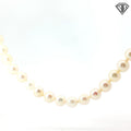 Saltwater Bead Cultured Pearls/ Light Cream Color/ 6.87 mm to 8.15 mm / 36" inch Certified By GIA # 1232852399