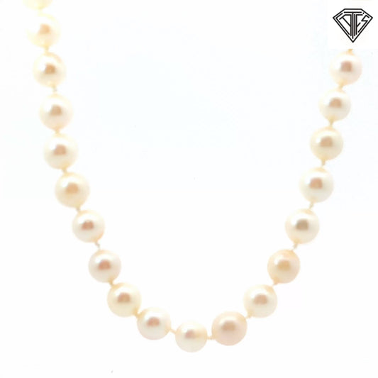 14k White Gold Fresh Water Cultured 7mm Pearl Choker Necklace 15"