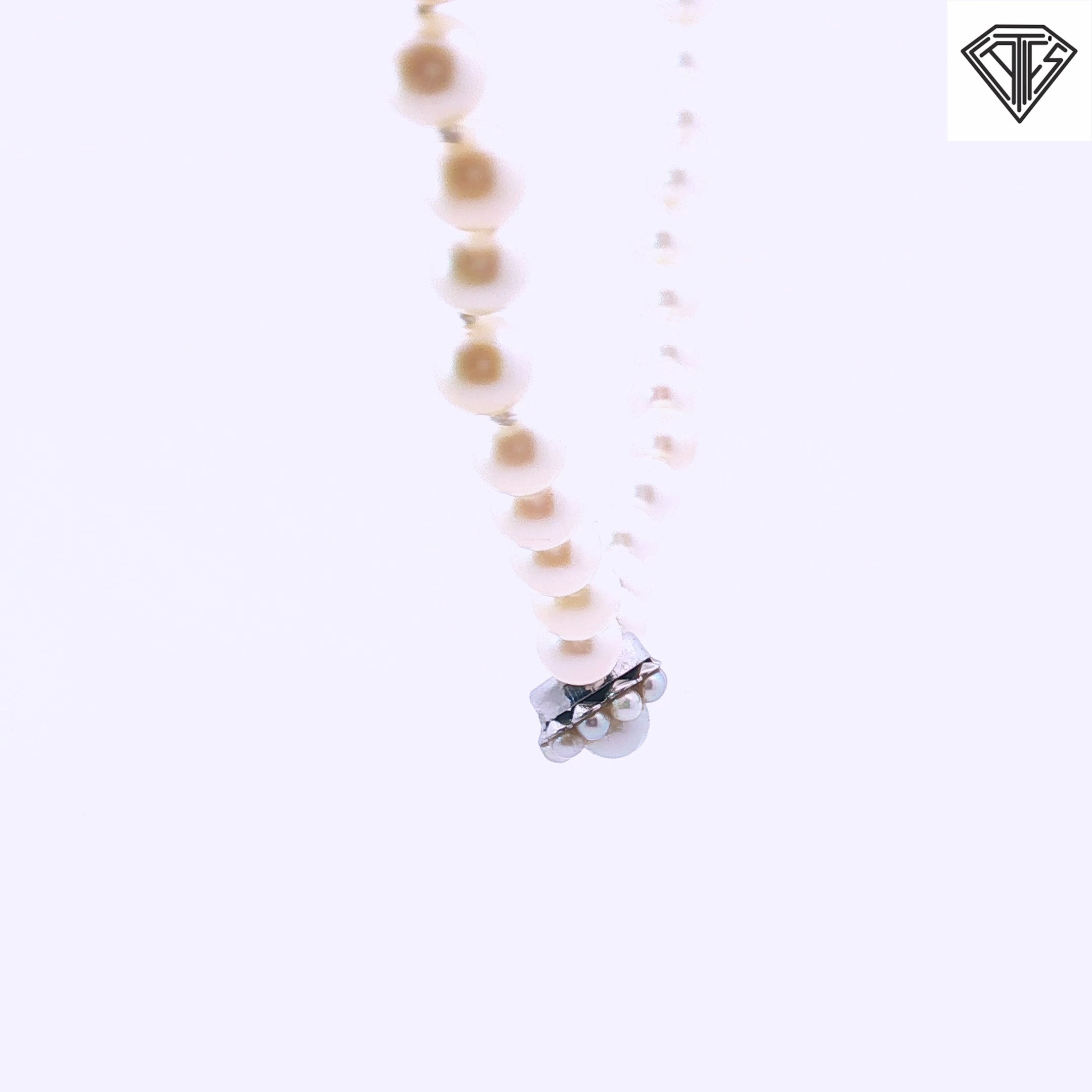 14k White Gold Vintage Graduated Saltwater 6- 9.5 mm Pearl Necklace with Pearl Clasp 16 1/2"inch