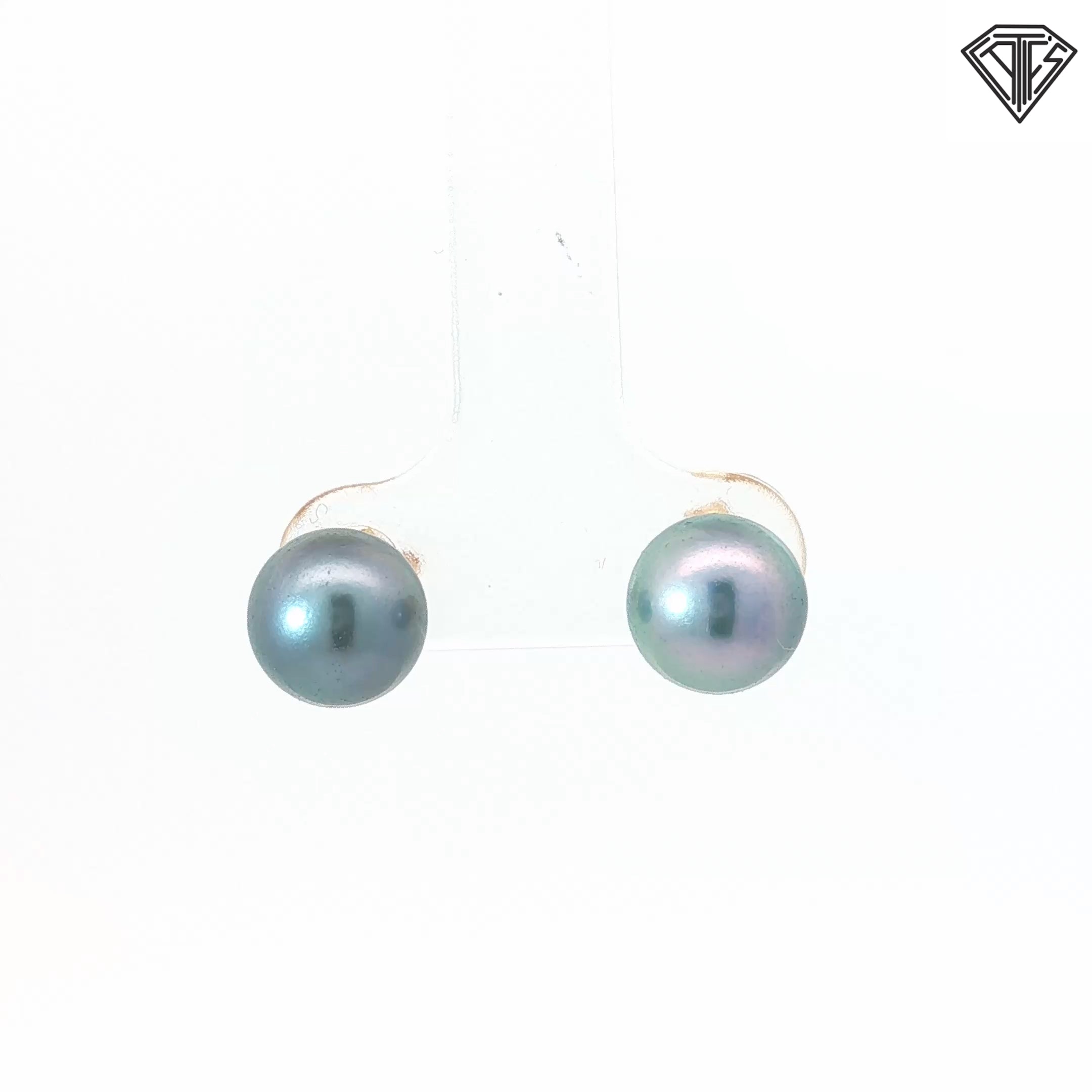 14k Yellow Gold Cultured Silver Tahitian Pearl 8mm Stud Earrings