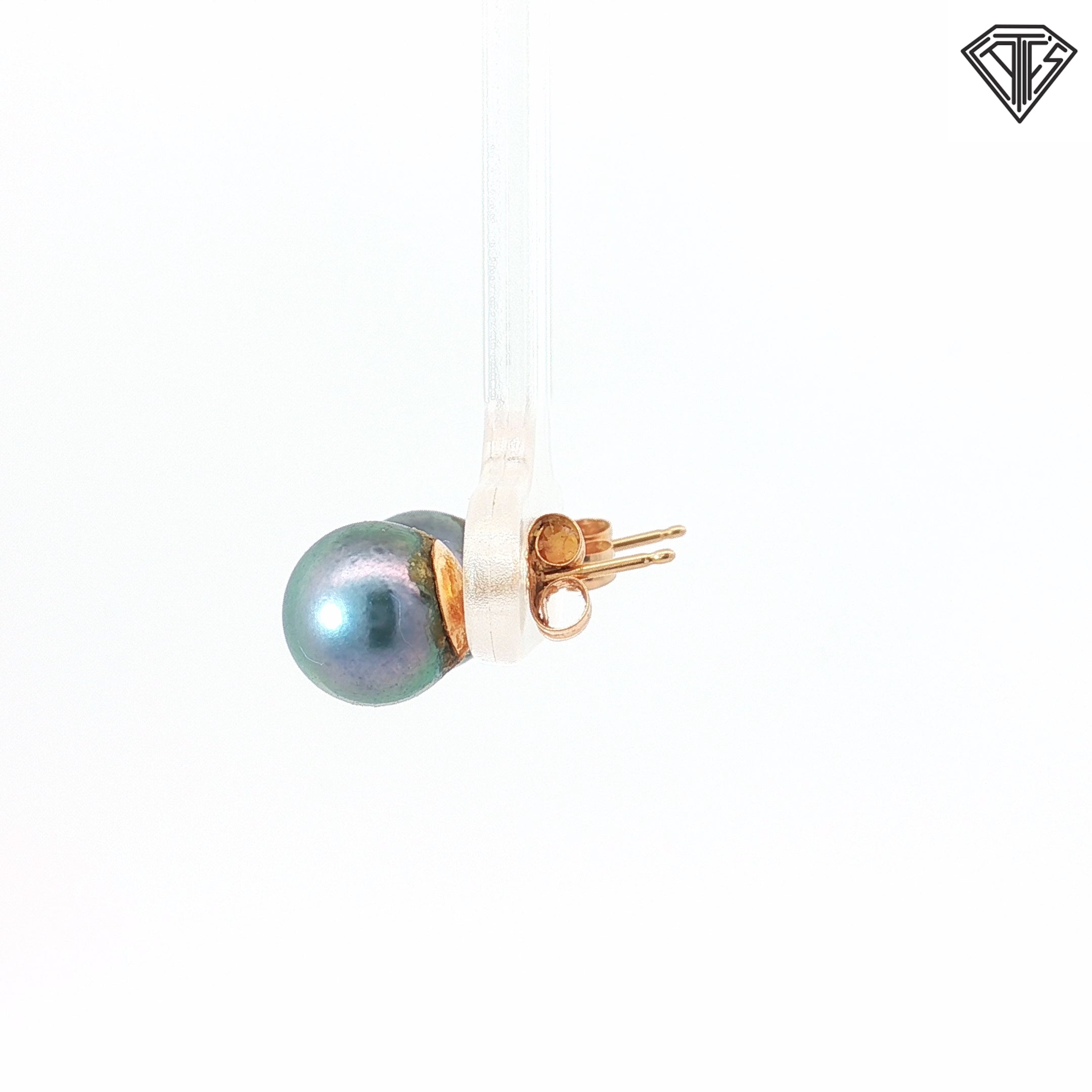 14k Yellow Gold Cultured Silver Tahitian Pearl 8mm Stud Earrings
