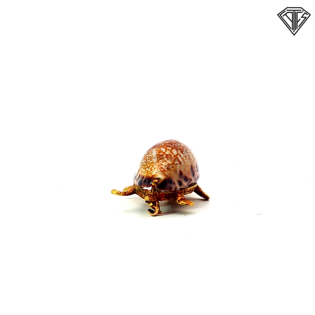 18k Yellow Gold Cherny Turtle Brooch with Sea Shell Back and Round Ruby Eye