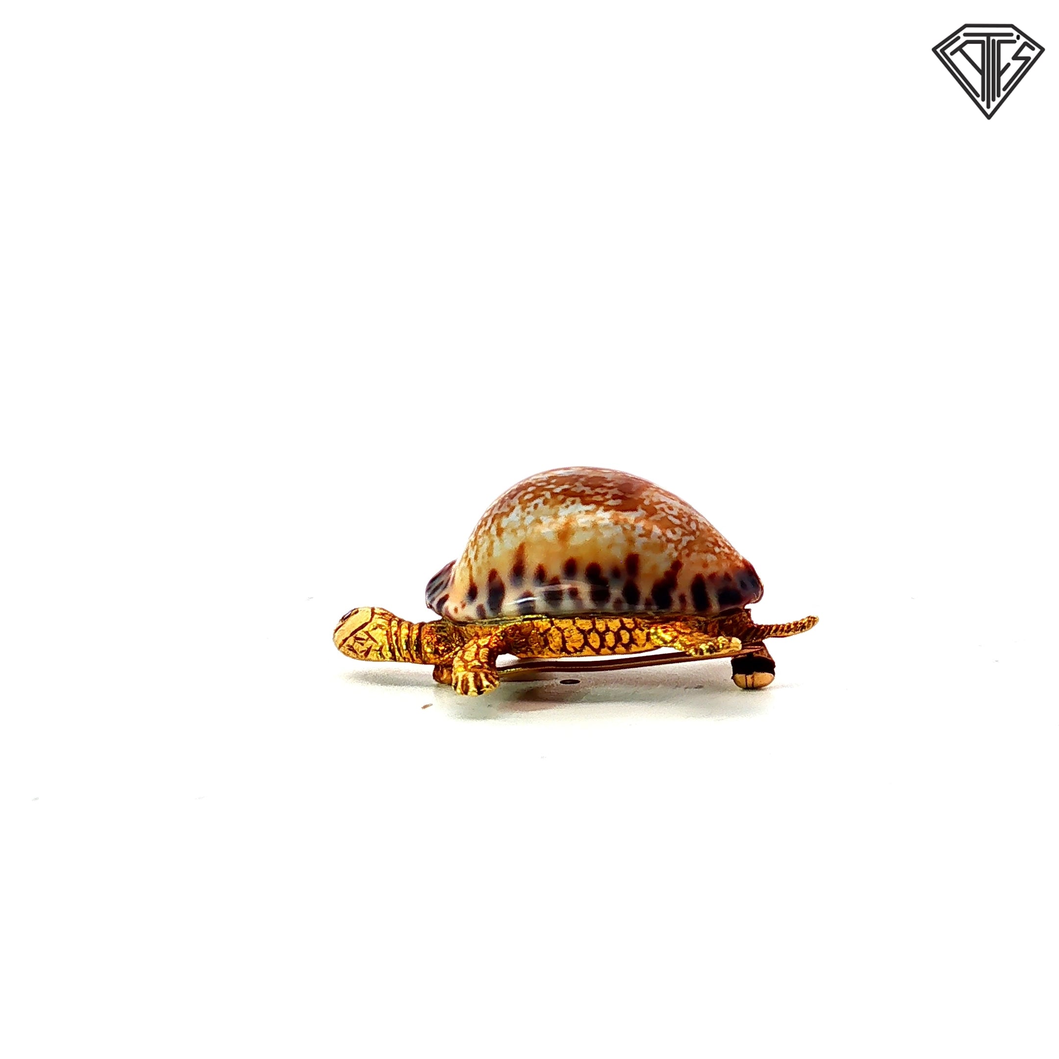 18k Yellow Gold Cherny Turtle Brooch with Sea Shell Back and Round Ruby Eye