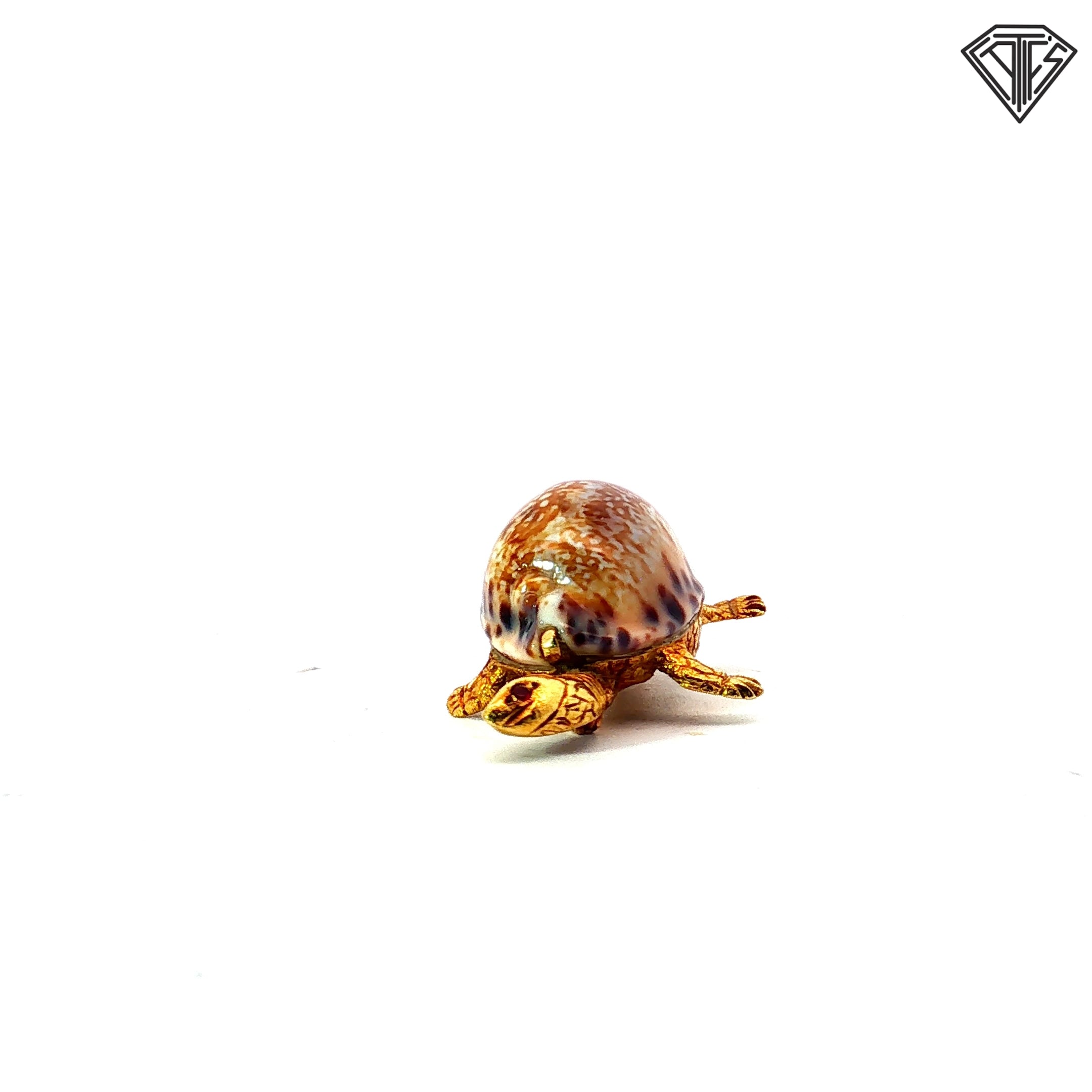 18k Yellow Gold Cherny Turtle Brooch with Sea Shell Back and Round Ruby Eye