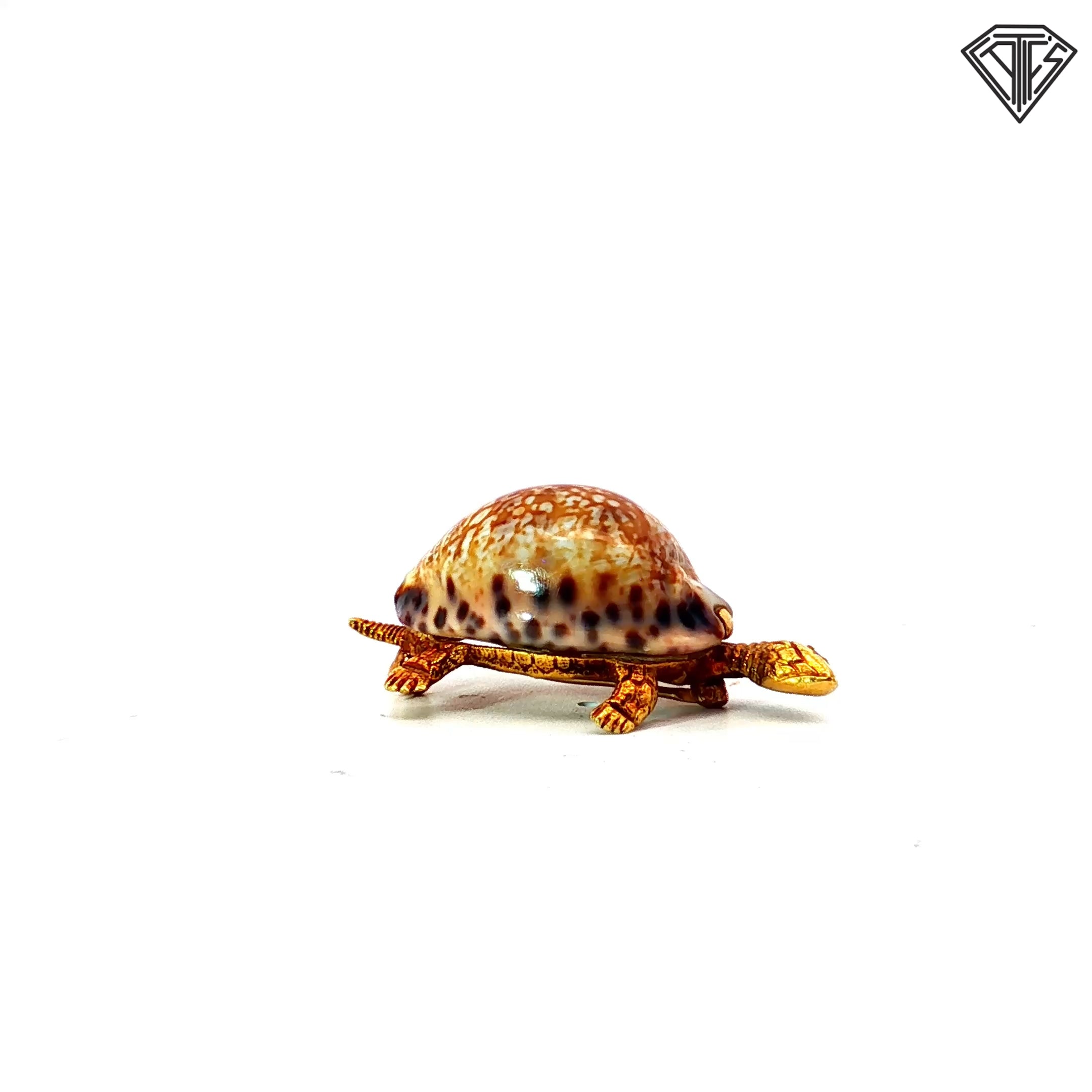 18k Yellow Gold Cherny Turtle Brooch with Sea Shell Back and Round Ruby Eye