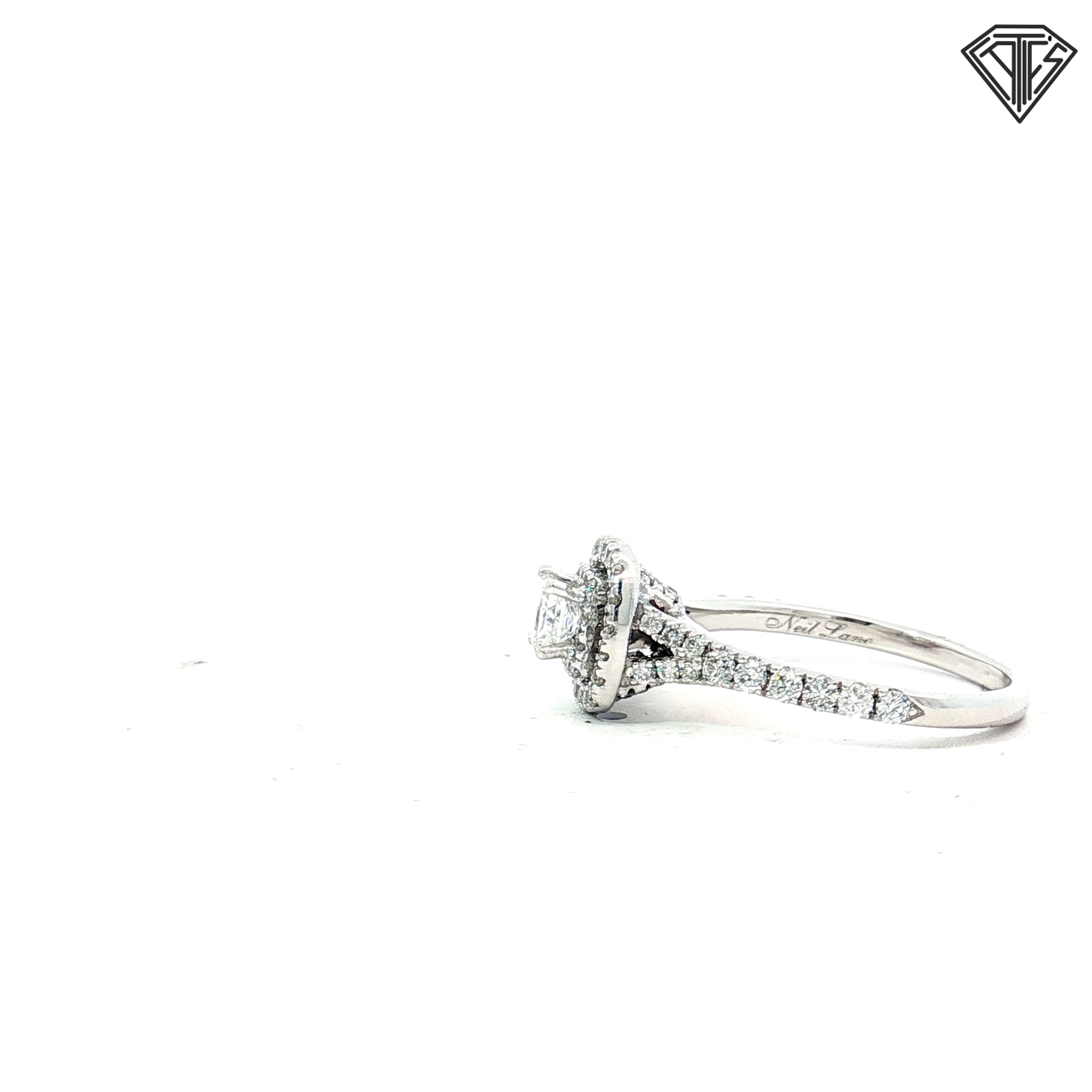 14k White Gold .25ct G VS2 Princess Cut Center Diamond/ .75ct G VS2 Round Diamond along the side Engagement Ring Size 7.5 Design by Neil Lane