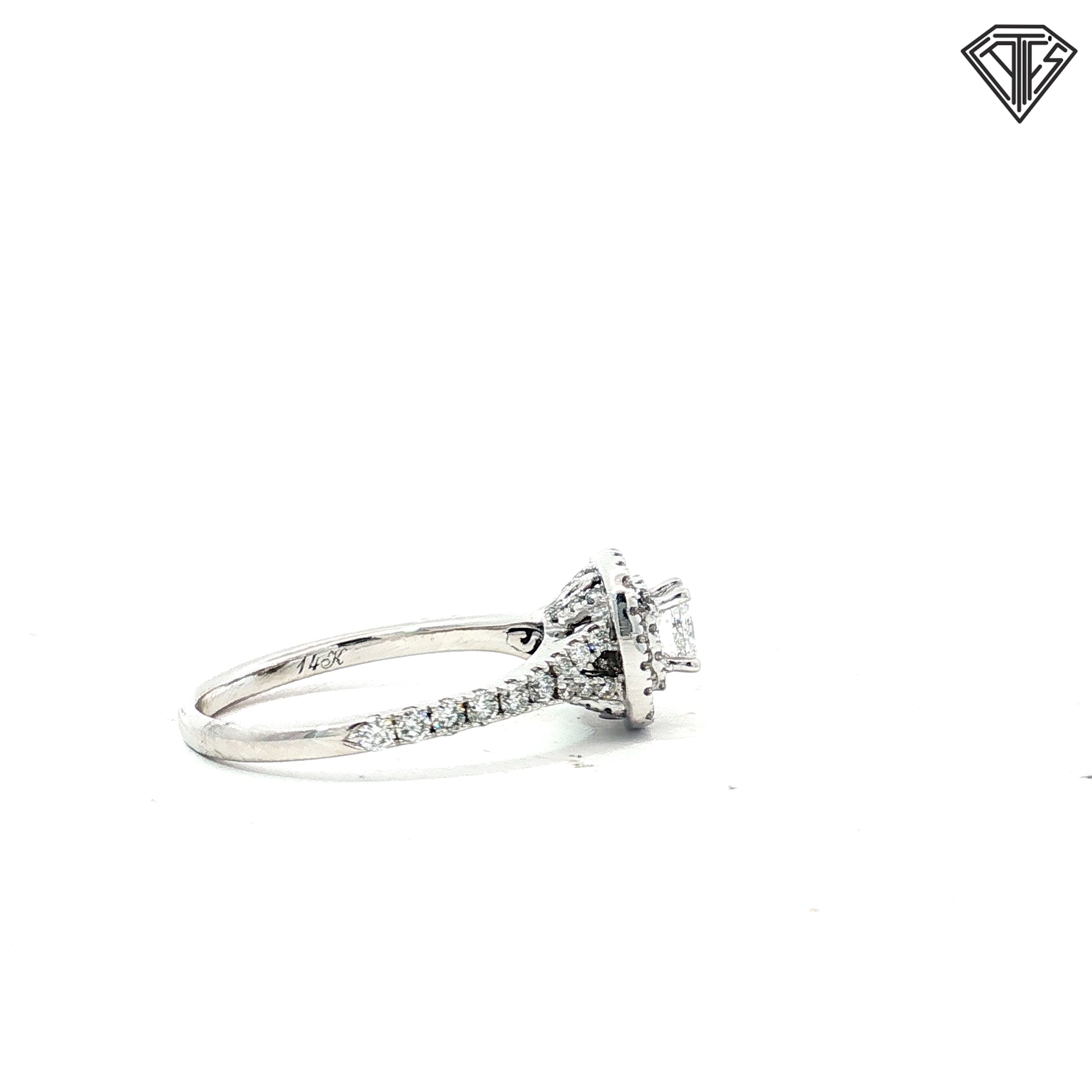 14k White Gold .25ct G VS2 Princess Cut Center Diamond/ .75ct G VS2 Round Diamond along the side Engagement Ring Size 7.5 Design by Neil Lane