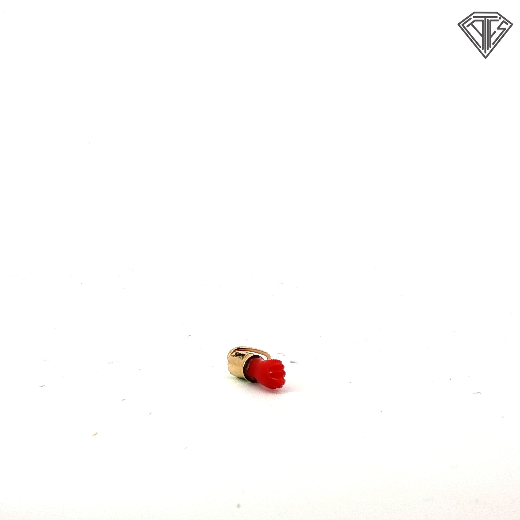 14k Yellow Gold Coral Azabachi Charm