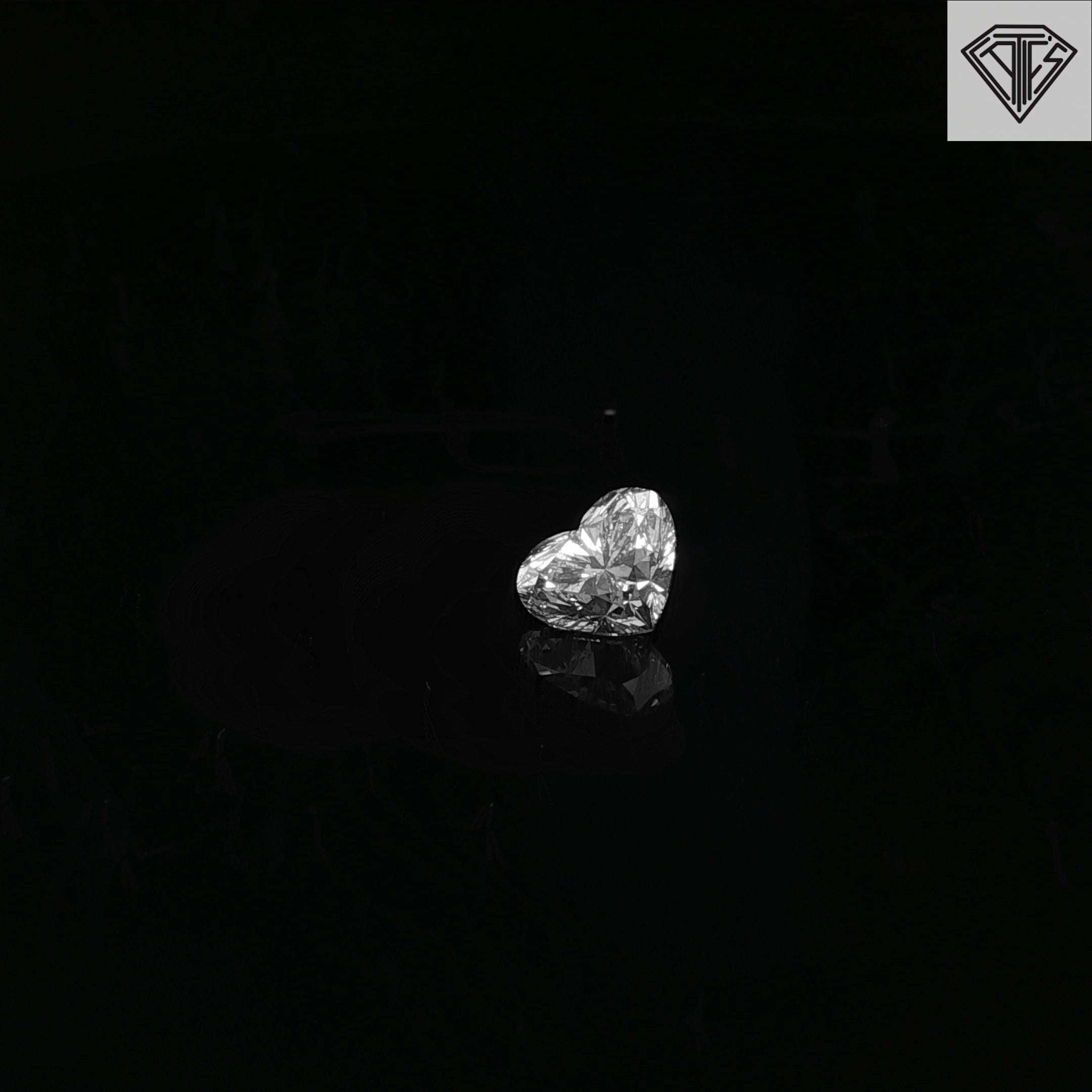 Matching Pair Loose Heart Diamond 1.02ct E SI2 Heart Diamond Certified by GIA #1527668761 / 1.00ct E SI1 Heart Diamond Certified by GIA # 7532450299