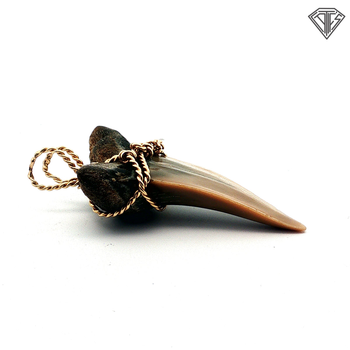 14k Yellow Gold Rope Wire Shark Tooth Pendant