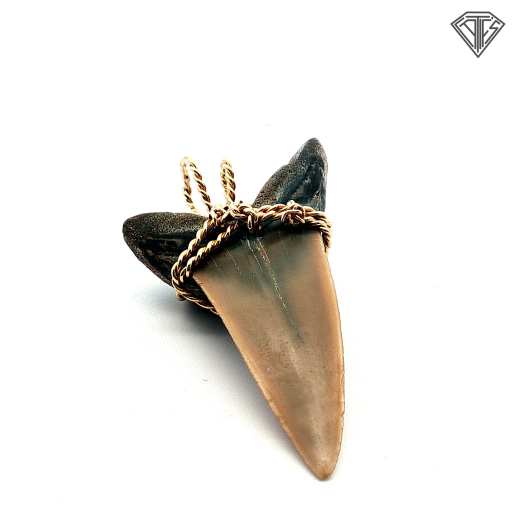 14k Yellow Gold Rope Wire Shark Tooth Pendant