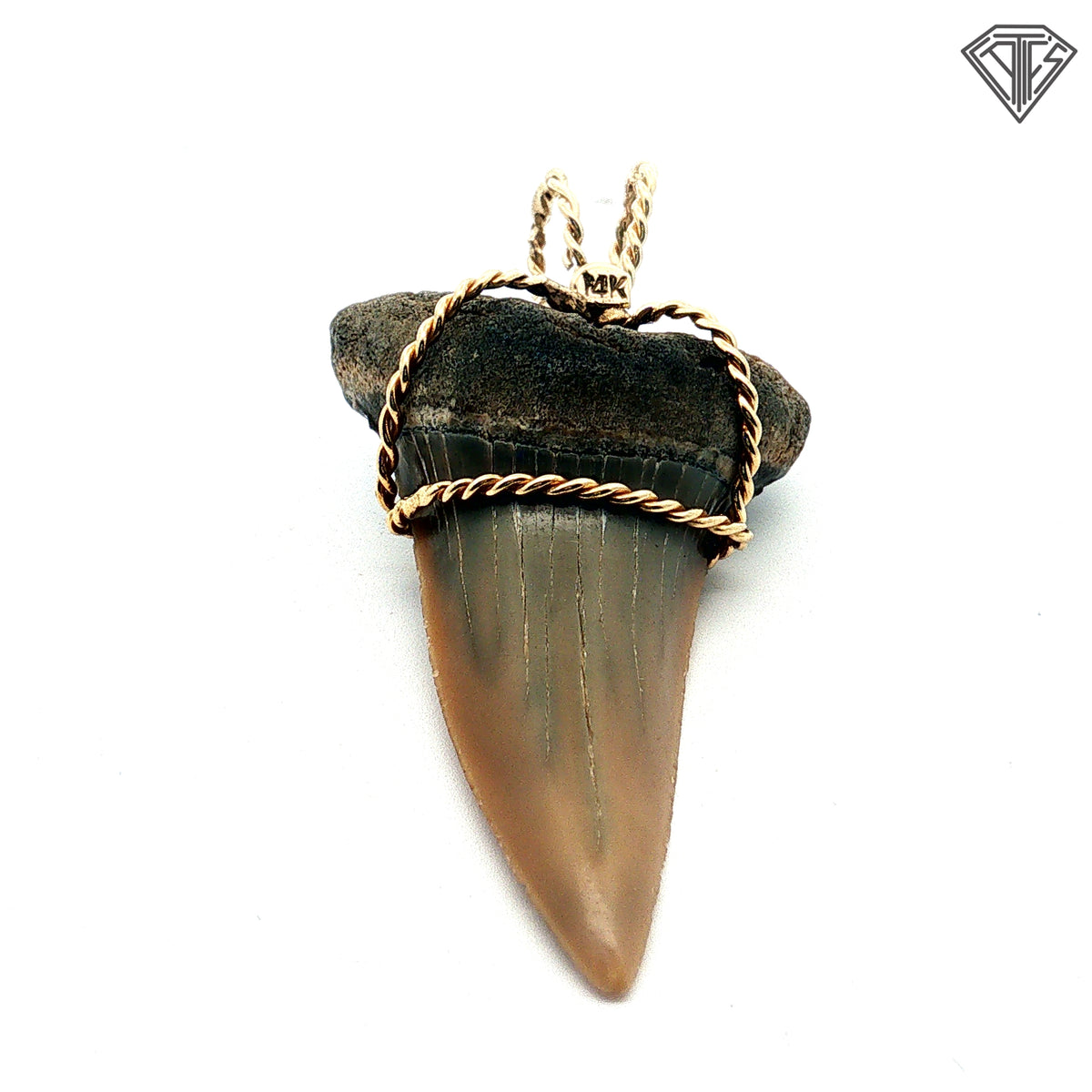 14k Yellow Gold Rope Wire Shark Tooth Pendant