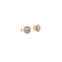 14k Yellow Gold 1.50ct Champagne and Chocolate Round Diamond Total Weight Stud Earrings