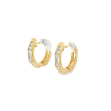 Ladies 14k yellow gold Diamond Hoop earrings