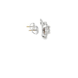 Ladies 14k white gold Diamond Stud earrings with Diamond Halo