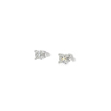 Ladies 14k white gold Princess Cut Diamond Stud earrings
