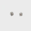 Ladies 14k white gold Diamond stud earrings